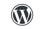 WordPress Development Services in Delhi